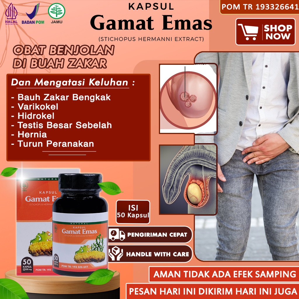 Jual Obat Benjolan Di Buah Zakar Varikokel Hidrokel Testis Bengkak