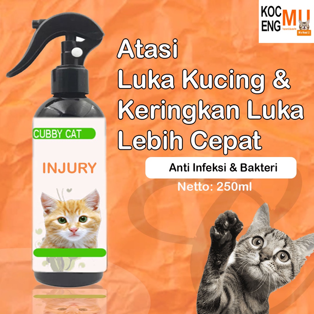 Jual Obat Luka Kucing Infeksi Luka Kucing Spray Cubbycat (250ml