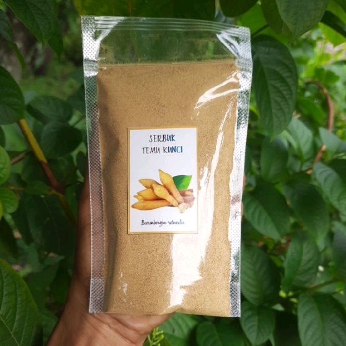 Jual Powder Serbuk Bubuk Temu Kunci 100 Gram | Shopee Indonesia