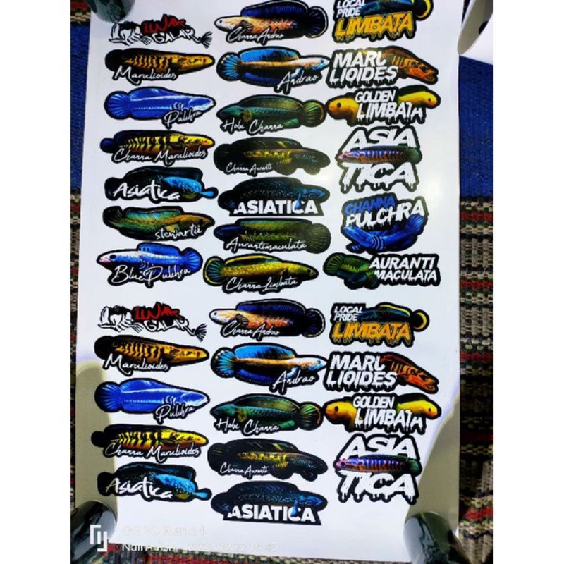 Jual stiker channa | Shopee Indonesia
