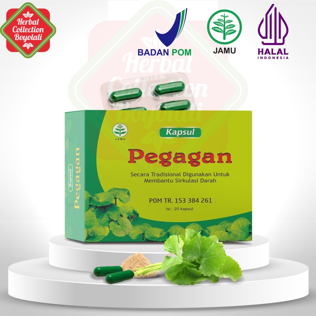 Jual Kapsul Pegagan Kemasan Blister Tazakka Halal BPOM Isi 20 Kapsul