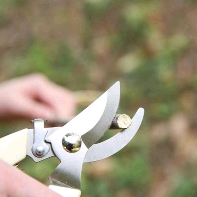 Jual LS Gunting Dahan Ranting / Gunting Ranting Daun Tanaman Super