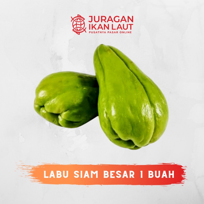 Jual Labu Siam Besar Segar Fresh Berkualitas 1 Buah Shopee Indonesia