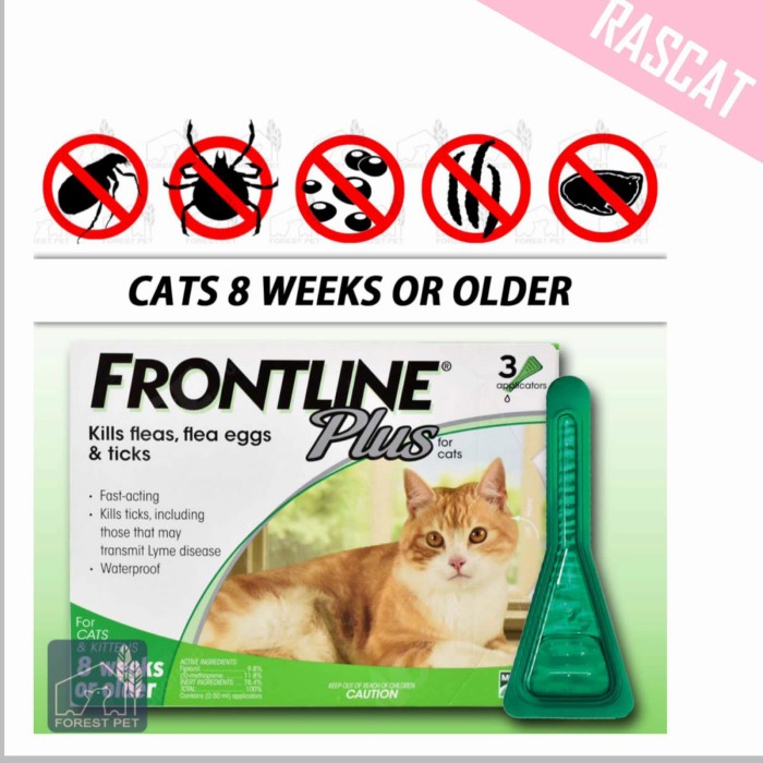 Jual Obt Frontline Plus Cat Untuk Weeks Or Older Obat Kutu Kucing