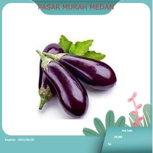 Jual Terong Ungu Segar 500gr Medan | PASAR MURAH MEDAN | Shopee Indonesia