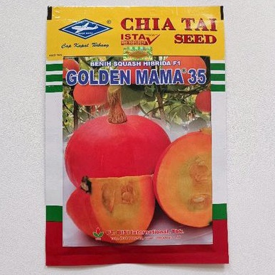 Jual GOLDEN MAMA F1 Benih Labu Kabocha Cap Kapal Terbang isi 10 gram ...