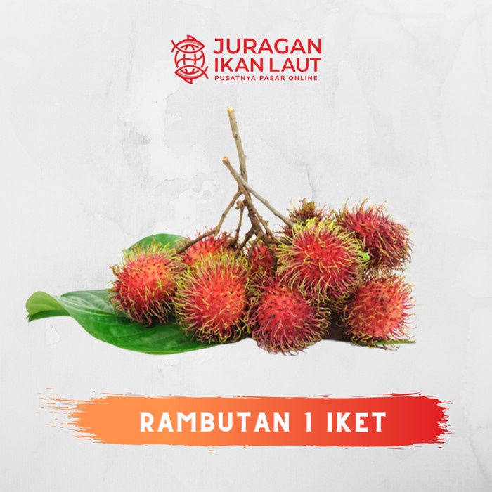 Jual Buah Rambutan Segar Berkualitas Ikat Shopee Indonesia