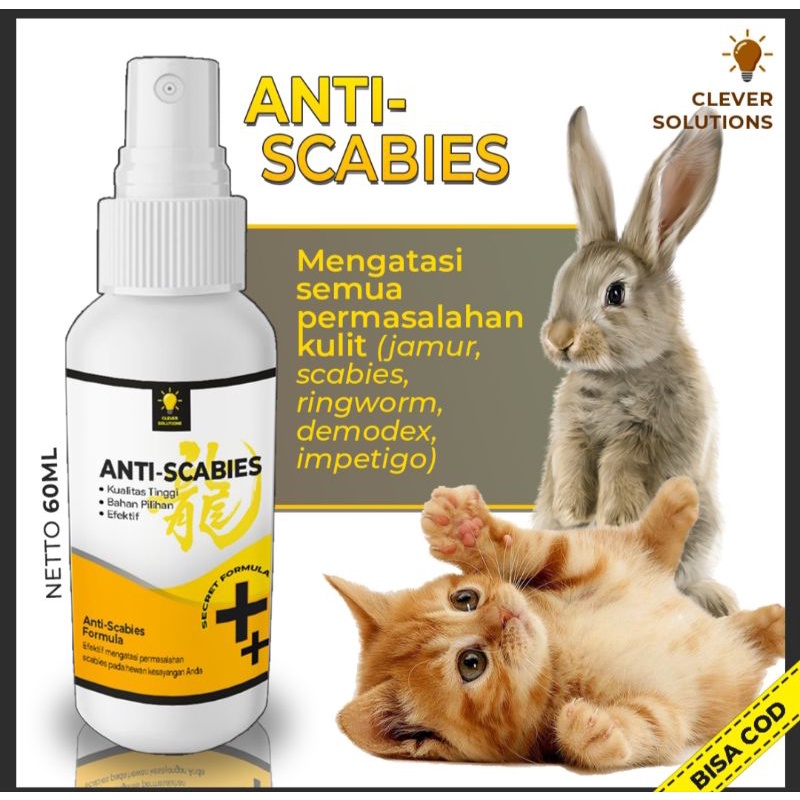 Jual anti scabies obat jamur scabies pada kucing spray clever solutions