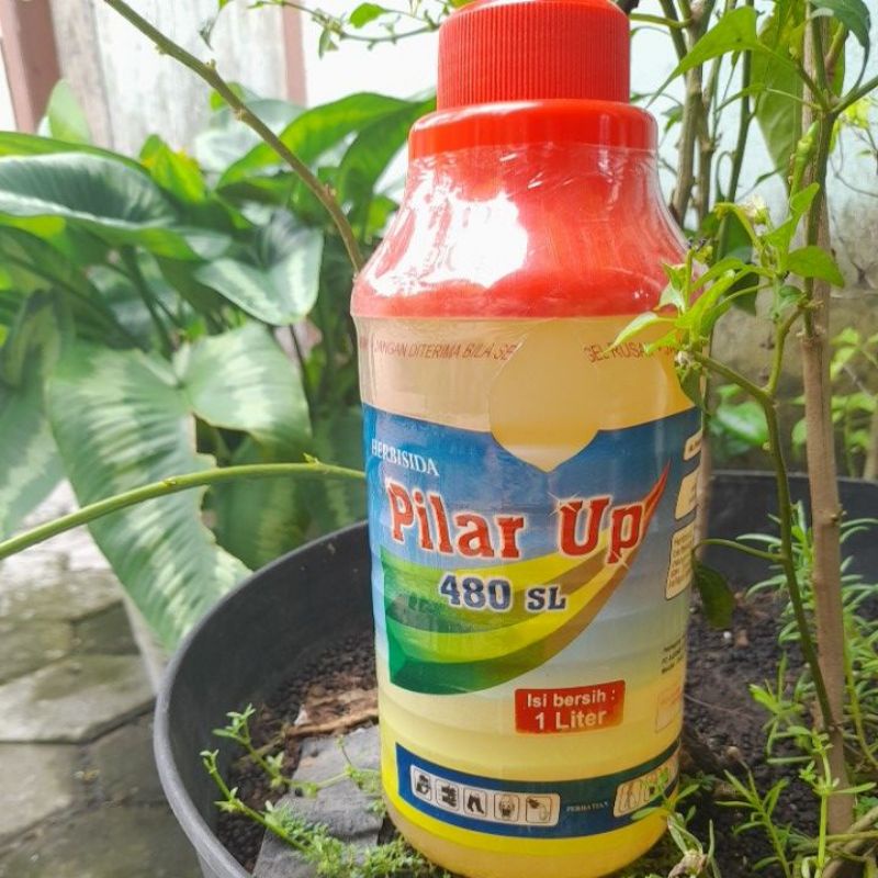 Jual HERBISIDA Pilar UP 480 SL 1 Liter Shopee Indonesia