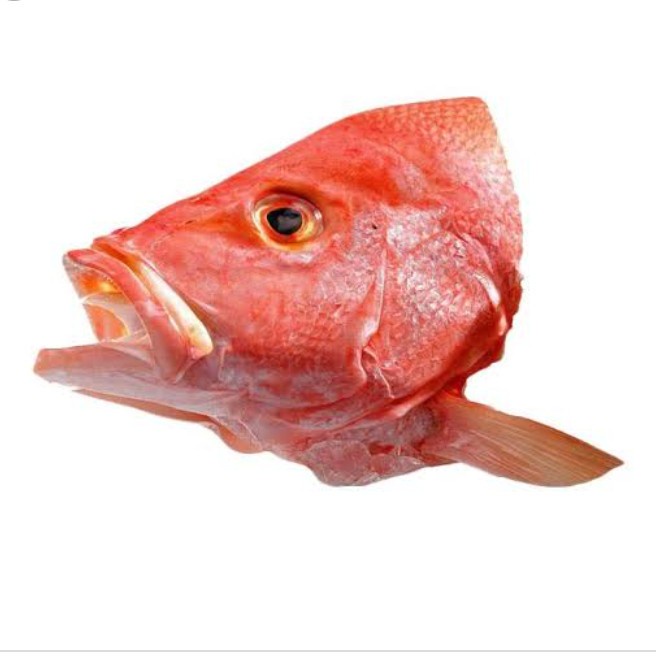 Jual Kepala Kakap Merah | Red Snapper Head | Shopee Indonesia
