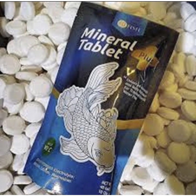 Jual ECERAN MINERAL TABLET PLUS VITAMIN C GARAM GAREM IKAN 1 TABLET ...