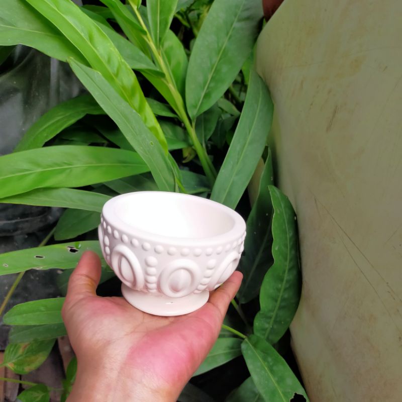 Jual pot sukulen bentuk cawan bulat || pot semen || aesthetic ...