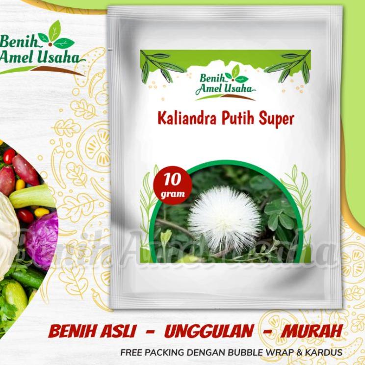 Jual Produk Terpopuler Macam Benih Pakan Ternak Lengkap Benih Indigofera Super Benih Alfalfa