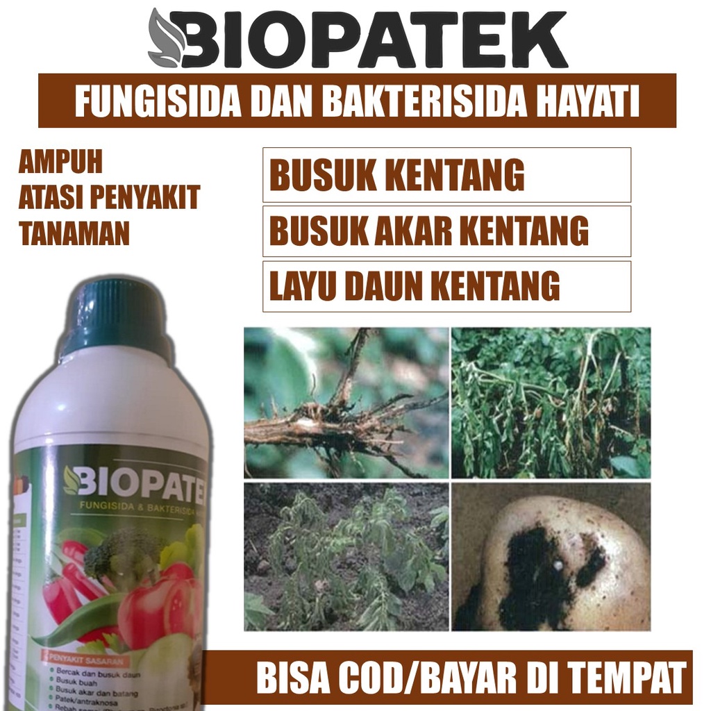 Jual Biopatek Isi Ml Fungisida Sistemik Obat Patek Obat Busuh Daun