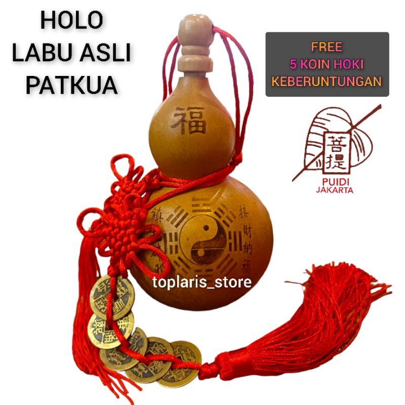 Jual Holo Labu Asli Fengshui Ukir Patkua Premium | Shopee Indonesia