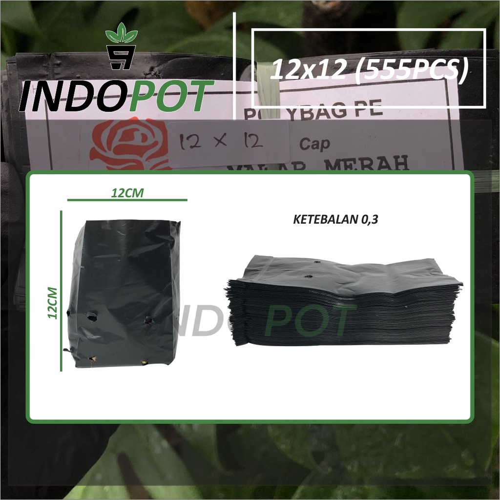 Jual (555Pcs)Paket Polybag 12x12 Tebal 0,3 Paket 555 Lembar Polybag ...
