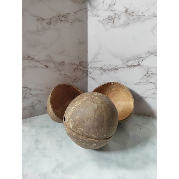 Jual Batok Kelapa Terlengkap & Harga Terbaru Juli 2026 | Shopee Indonesia