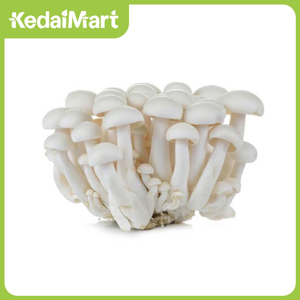 Jual Jamur Hokto Shimeji Putih 100 Gram Shopee Indonesia