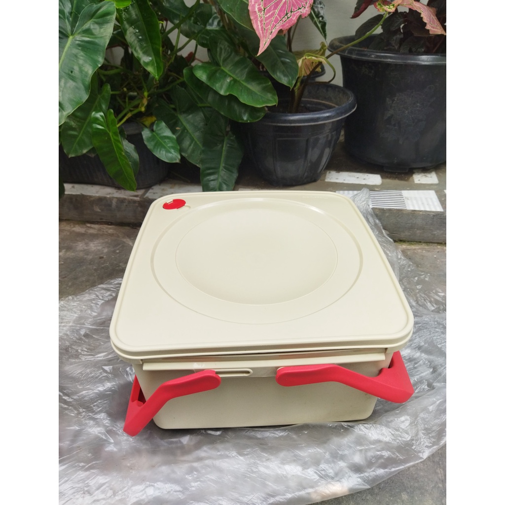 Jual Tupperware Square Kepper with Handle | Shopee Indonesia
