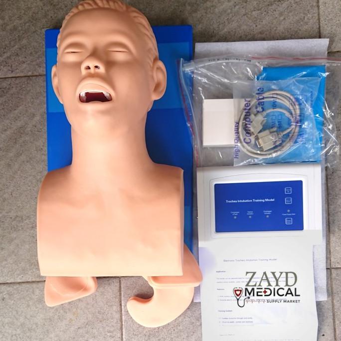 Jual Phantom Manikin Airway Intubasi Simulator Human Trachea Gl 8407