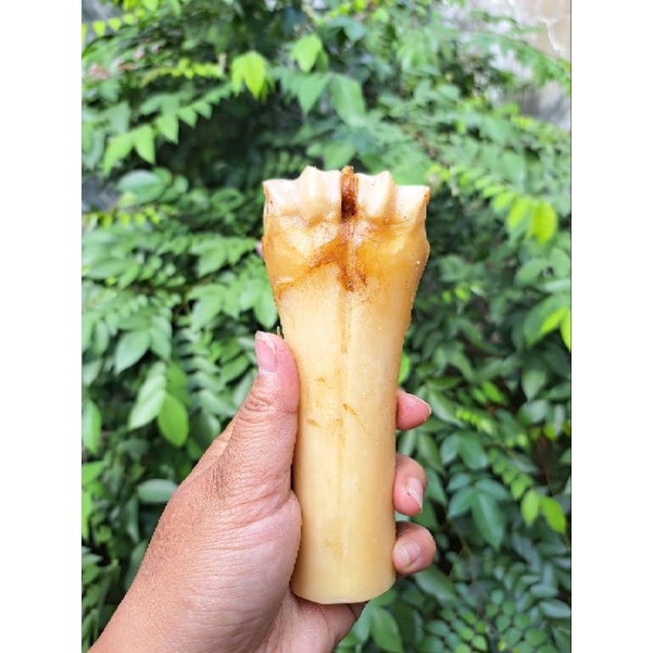 Jual Tulang sapi panggang | Dog snack | cemilan untuk anjing | beef ...