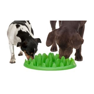 View of Jual Silicone Grass Slow Feeder Pet Cat Dog Bowl - mangkuk Anti choke ...