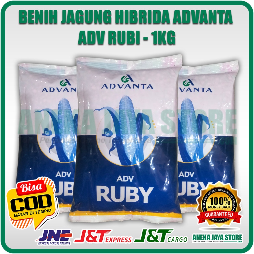 Jual Benih Jagung Advanta Ruby - 1 Kg | Shopee Indonesia