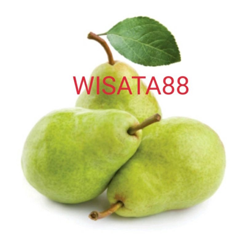 Jual buah impor pear packham Afrika manis / renyah / fresh / pear ...
