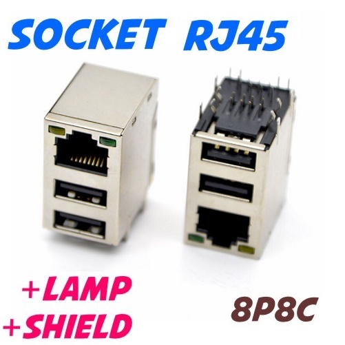 Jual Socket RJ45 With Lamp 2 Dual Combo USB 8P8C 20P 20 Kaki LAN ...