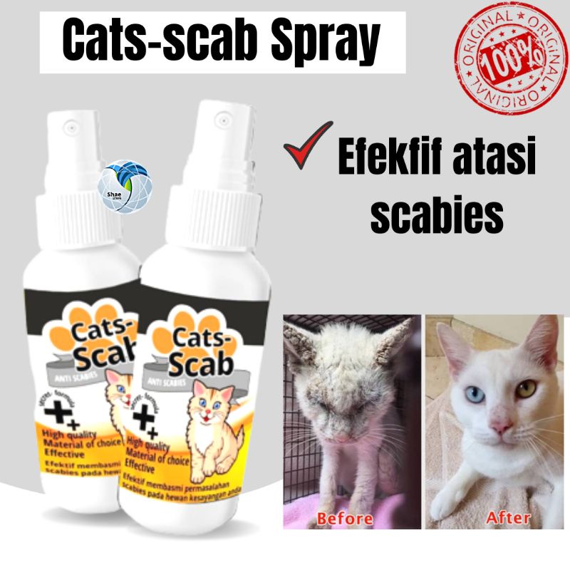 Jual Obat Jamur Scabies Kudis Gatal Penyakit Kulit Kucing Anjing Cats
