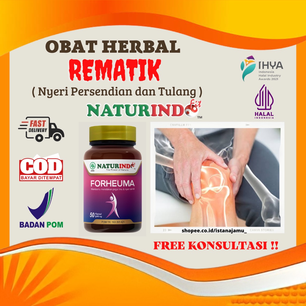 Jual Obat Tulang Rematik Herbal Rematik Rhematik Reumatik Rheumatik