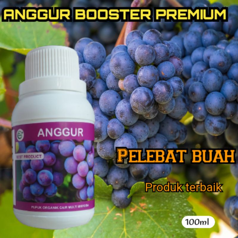 Jual Pupuk Booster Organik Cair Anggur Agar Cepat Berbuah Lebat Ampuh ...