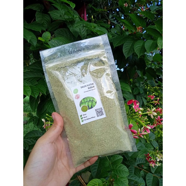 Jual DAUN KATUK Serbuk Bubuk Daun Katuk 100gr | Shopee Indonesia