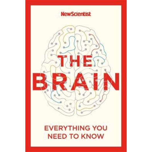 Jual The Brain Everything You Need to Know Shopee Indonesia