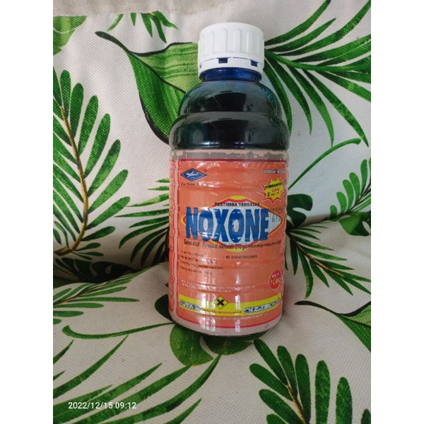 Jual NOXONE herbisida 276SL obat rumput | Shopee Indonesia