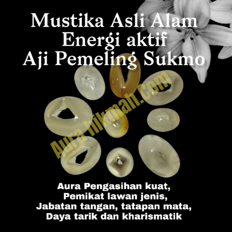 Jual BATU COMBONG ASIAN LEMPIT PAMELING | Shopee Indonesia