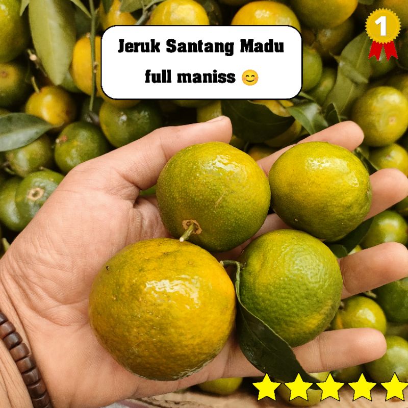 Jual Buah Jeruk Santang Madu Full Manis 1kg Jeruk Madu Hijau Full