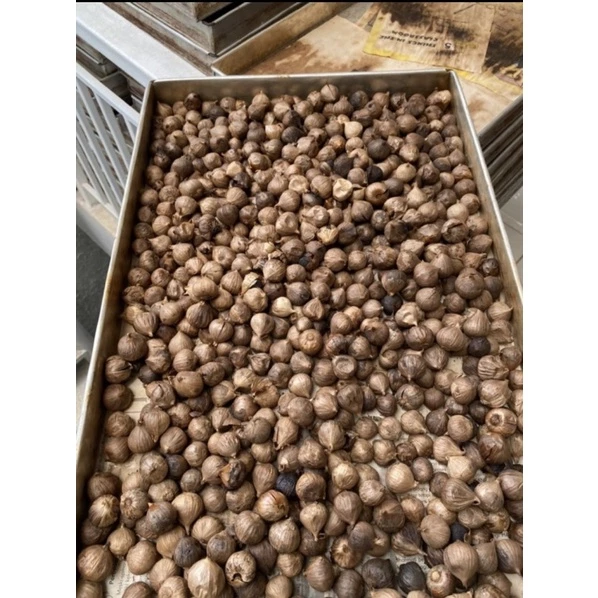 Black Garlic bawang hitam tunggal 1000gr