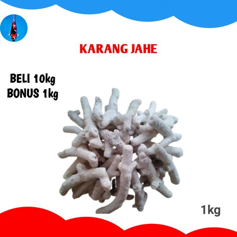 Jual karang jahe 1kg media filter kolam ikan koi filter kimiawi
