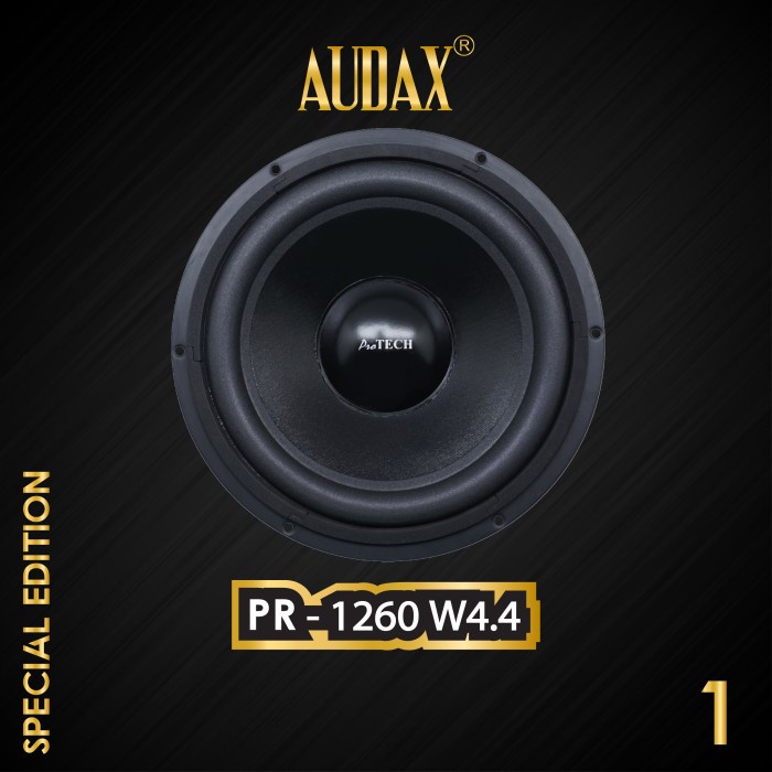 Jual Audax Speaker Pasif Pro Tech Pr W Woofer Shopee Indonesia