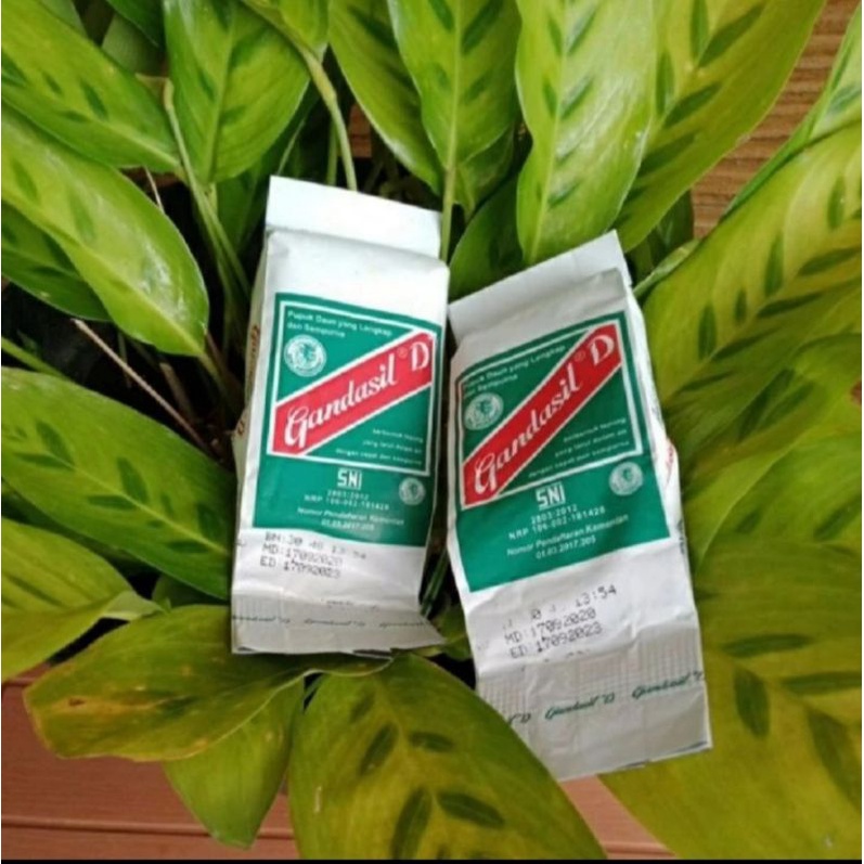 Jual Pupuk Gandasil D, Pupuk Daun Dan Tanaman Hias | Shopee Indonesia