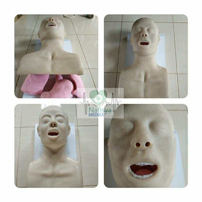 Jual Phantom Manikin Manekin Intubasi Airway Ett Airway Shopee Indonesia