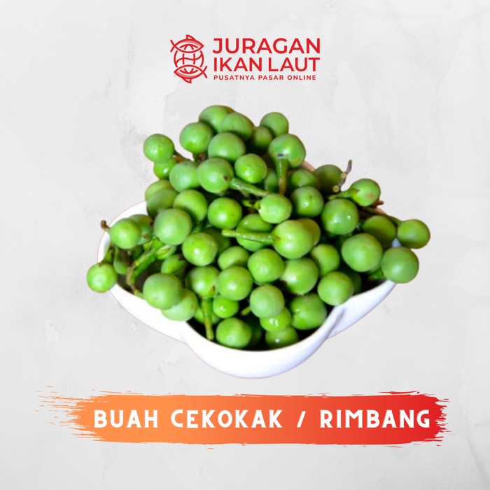 Jual Buah Cekokak / Rimbang Berkualitas - 250 Gram | Shopee Indonesia