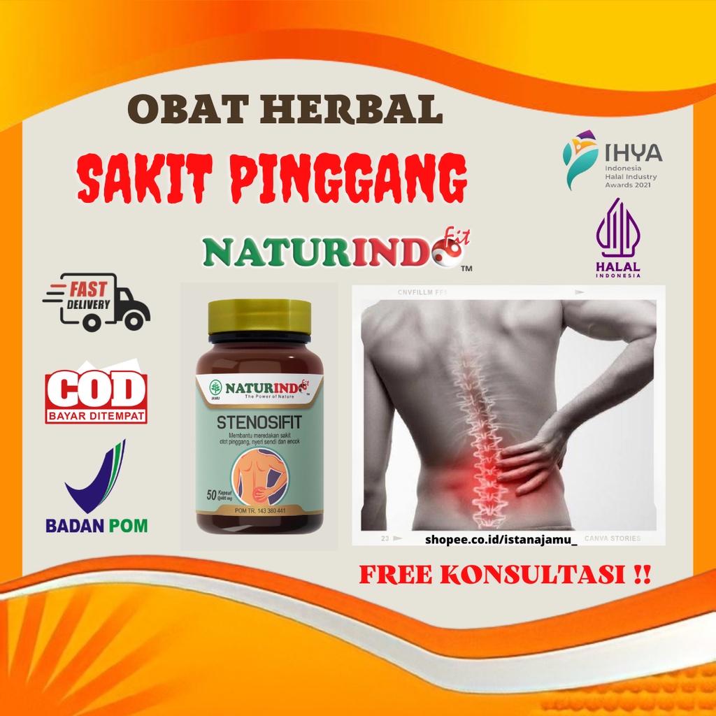 Jual Obat Herbal Sakit Pinggang Syaraf Terjepit Saraf Kejepit Encok ...