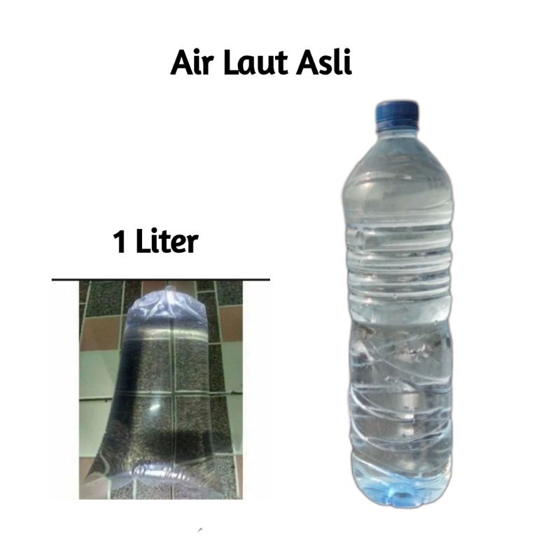 Jual Air Laut Murni Air Laut Asli 1 Liter Shopee Indonesia