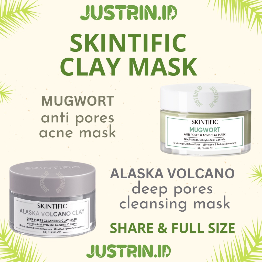 Jual SKINTIFIC Mugwort Anti Pores Acne Clay Mask Alaska Volcano Clay