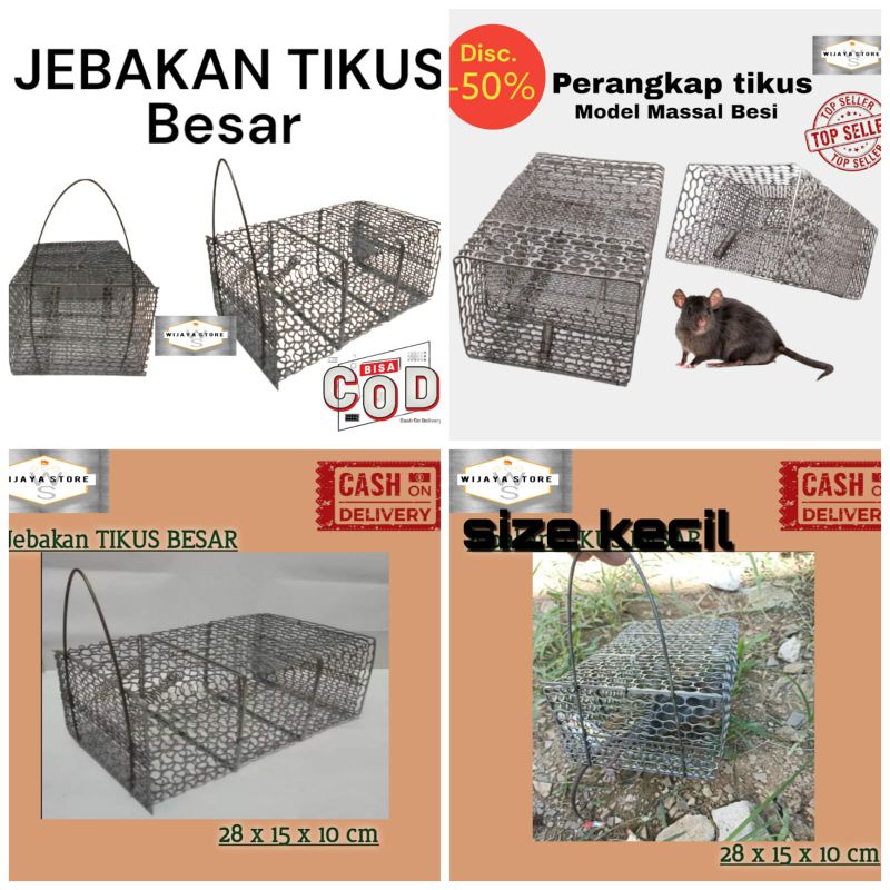 Promo Rolling Bucket Mouse Trap Perangkap Jebakan Tikus Masal Anti Racun  Diskon 17% di Seller Mahanani Store 4 - Cikoko, Kota Jakarta Selatan