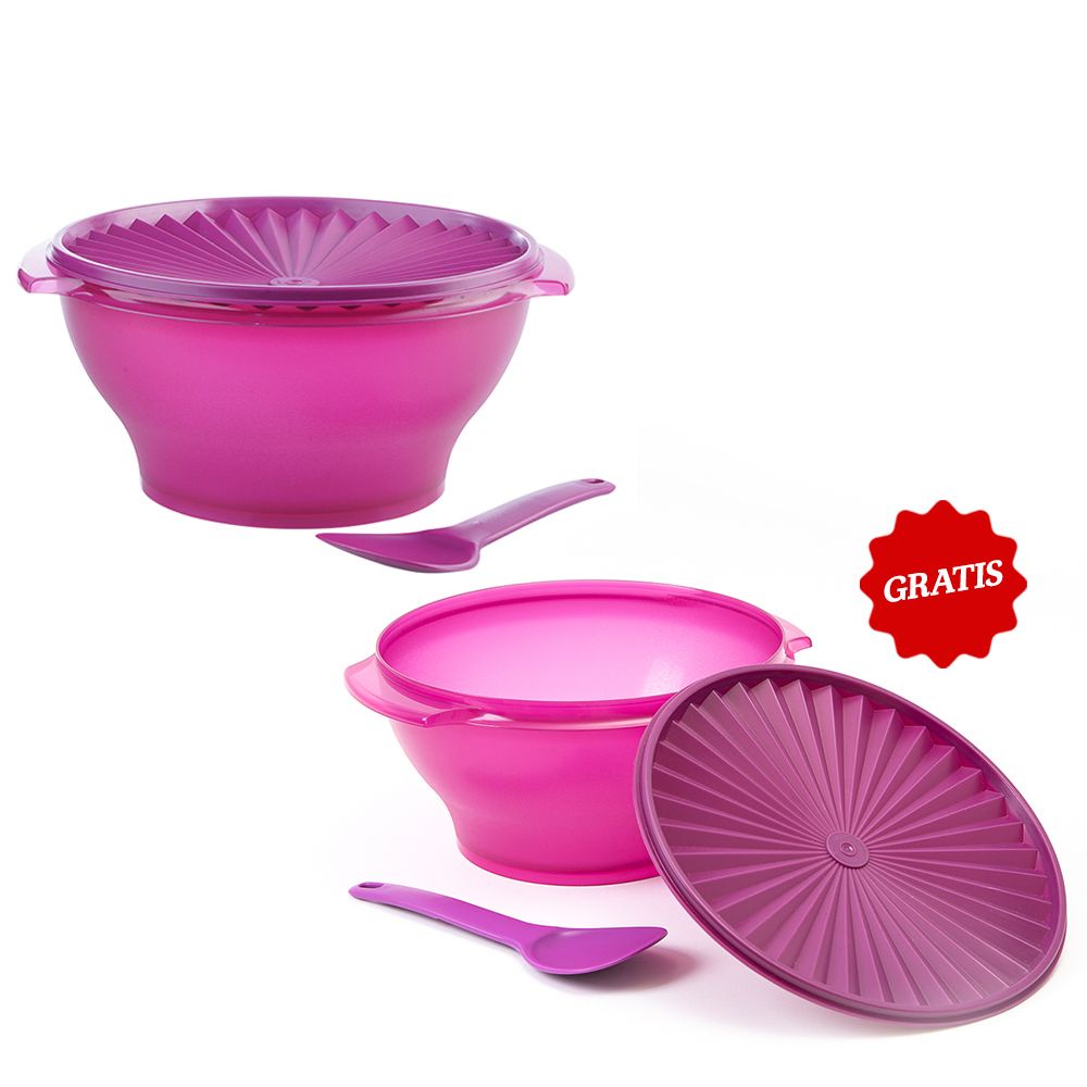 Jual LARGE RICE BOWL (2PCS) Tupperware / Wadah Nasi Tupperware / Wadah