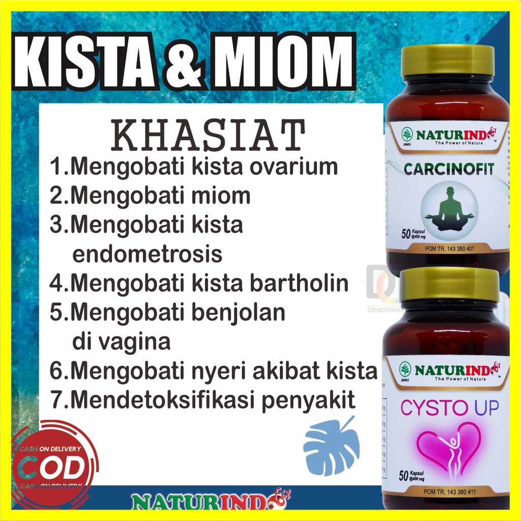 Jual Obat Kista Ovarium Bartholin Endometriosis Ampuh Obat Miom Dan