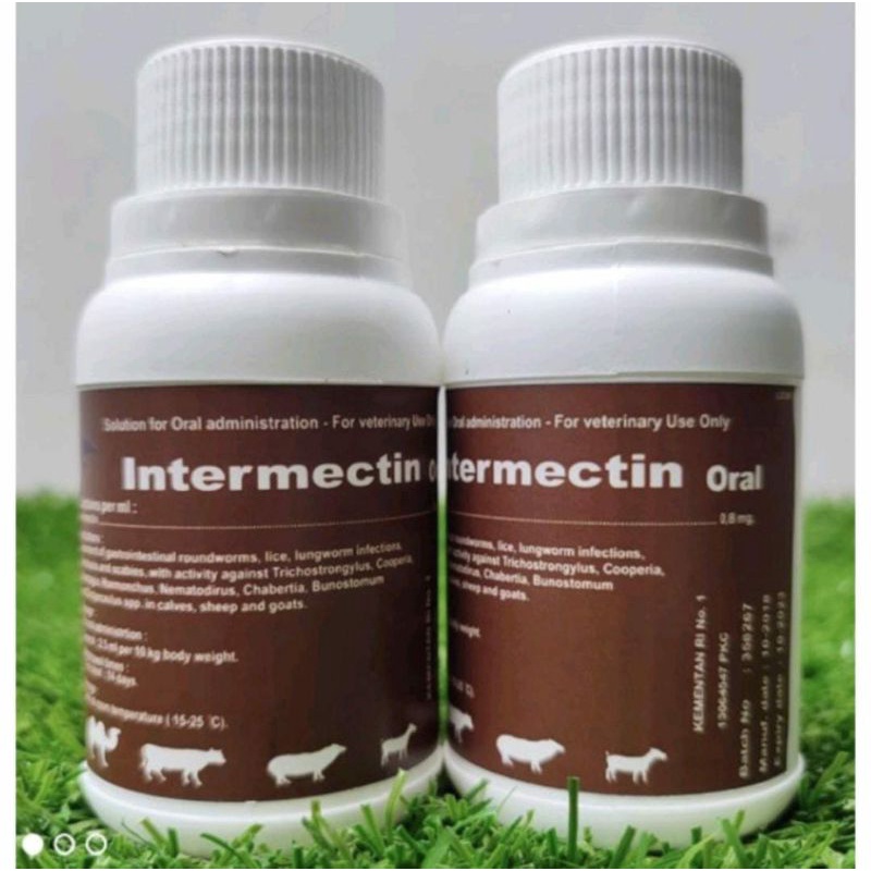 Jual Intermectin Oral 100 ml obat scabies/gudik untul hewan ternak ...
